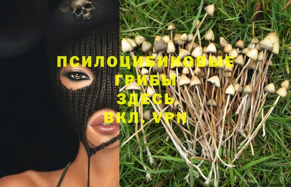 скорость Балахна